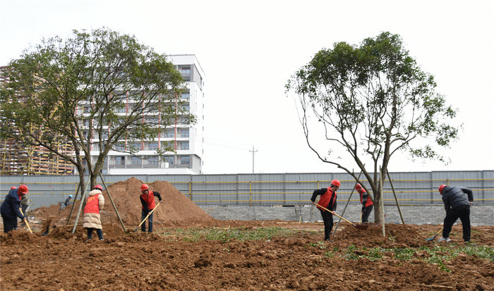 1678757726732385.jpg DSC_2223_副本_副本.jpg